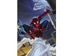 Photomural Spider-Man Rooftop