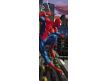 Photomural Spider-Man NYC