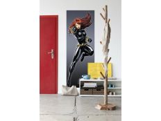 Ambient Photomural Black Widow