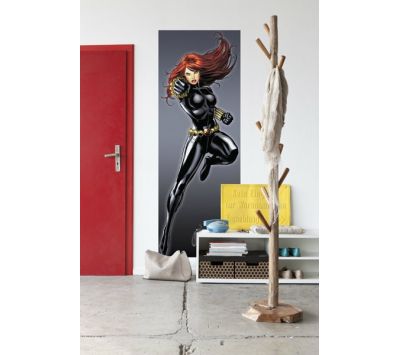 Ambient Photomural Black Widow