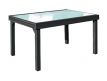 TABLE EXTENSIBLE AJEIVERROT II