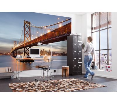 Ambient Photomural Bay Bridge