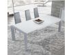 DINING TABLE ESNETNI