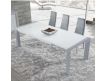 DINING TABLE ESNETNI