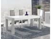 DINING TABLE LIBRAM01