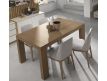 DINING TABLE HAD04