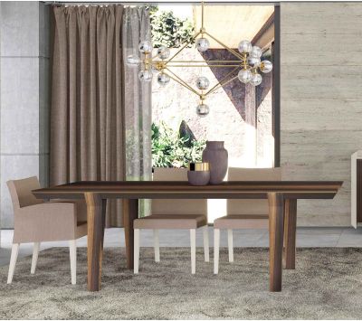 DINING TABLE CENLES