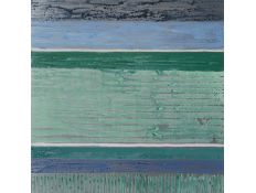 SCREEN DNOBID CELESTE