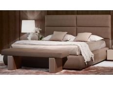 CAMA AVID