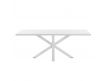 DINING TABLE AYRA B