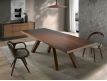 DINING TABLE SIDER