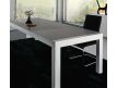 Dining table Aaws I