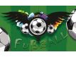 Photomural Soccer ball