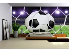 Fotomural Foot ball
