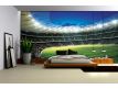 Photomural Stadium 323VE