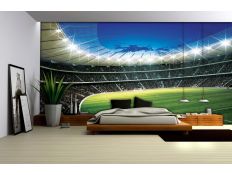 Fotomural Stadium 323VE