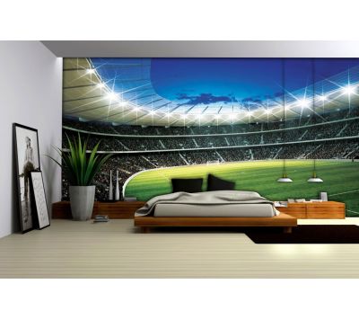 Fotomural Stadium 323VE