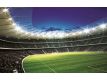 Photomural Stadium 323VE