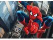 Photomural Spider man
