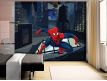 Photomural Spider Man IV