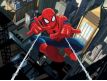 Photomural Spider Man I