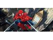 Fotomural Spider Man I