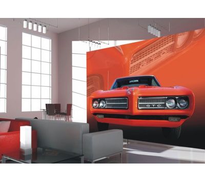 Photomural Carro 2