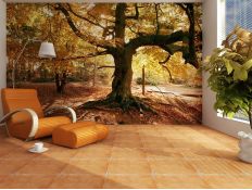 Photomural Tree
