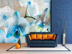 Photomural Blue roses