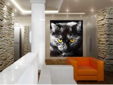 Photomural Black cat