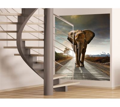 Fotomural Elefante