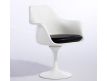 Armchair Tulip