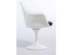 Armchair Tulip