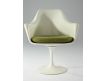 Armchair Tulip