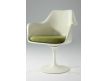 Armchair Tulip