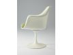Armchair Tulip
