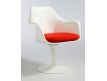 Armchair Tulip