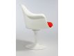 Armchair Tulip