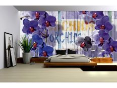 Photomural Fioletowa Orchidea
