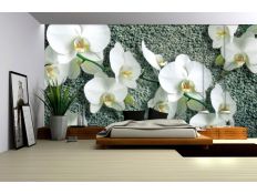 Fotomural Storcyk na strukturze