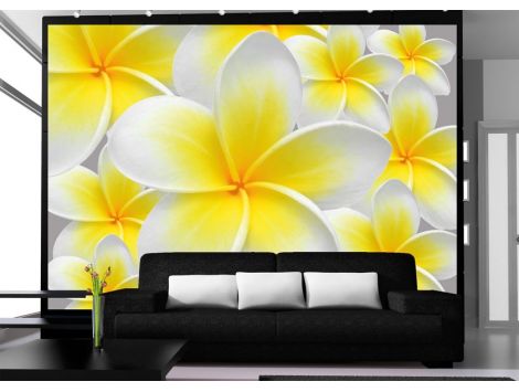 Fotomural Kwiat Wanili