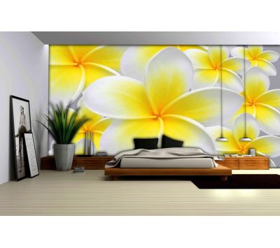 Photomural Vanilla Flower