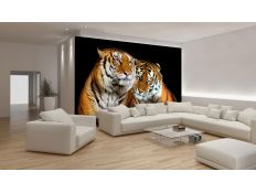 Photomural Tigers