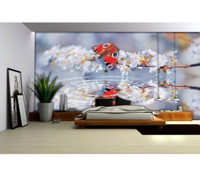 Fotomural Butterfly