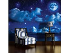 Fotomural Moony night 