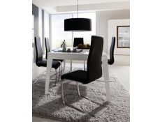 Dinning table Prisma P5