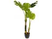  Planta Philo artificial