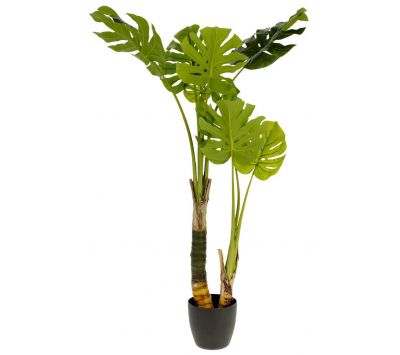 PLANT WITH VASE ILIONE