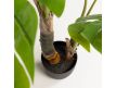  Planta Philo artificial