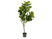 Plant Artificial Philo